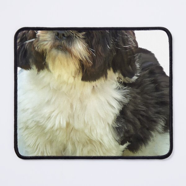 Item preview, Adorable Shih Tzu Puppy designed and sold by Susan Savad.