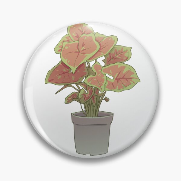 Item preview, Pink Singonium designed and sold by Nicofiish.