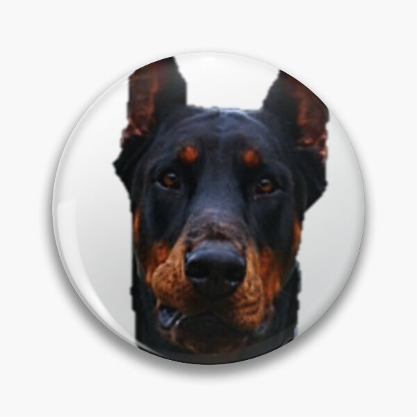 Item preview, Doberman - king of dogs designed and sold by NoxLand.