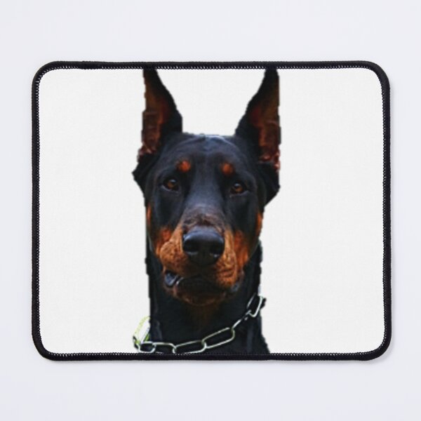 Item preview, Doberman - king of dogs designed and sold by NoxLand.
