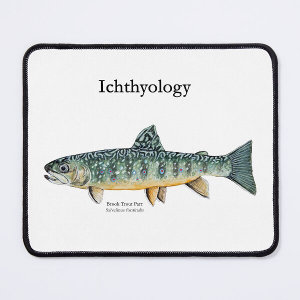 Item preview, Brook Trout Parr designed and sold by Stephen Emms.