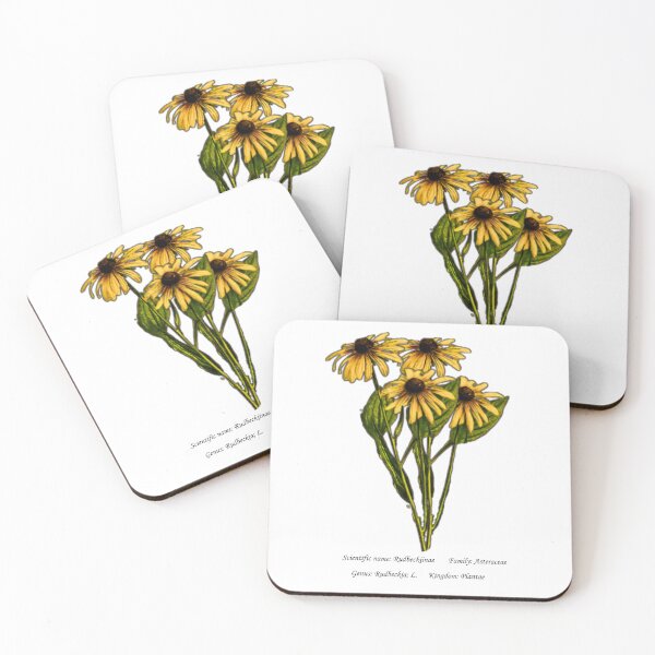 Item preview, Black Eyed Susan Botanical Illustration designed and sold by Flores1965.