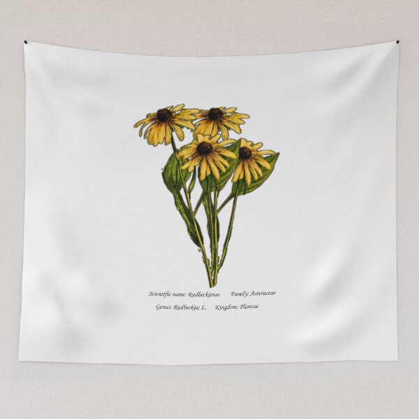 Item preview, Black Eyed Susan Botanical Illustration designed and sold by Flores1965.
