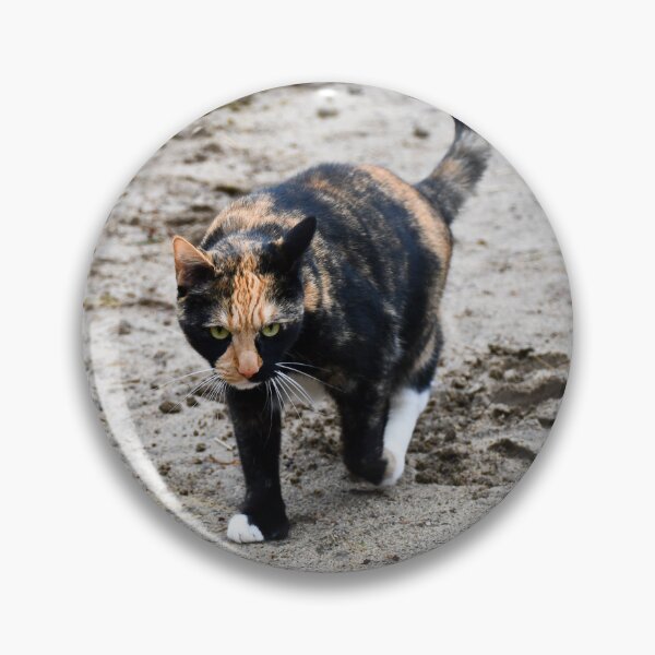 Item preview, Tortoiseshell Calico Farm Cat Photograph designed and sold by DoodleBeasts.