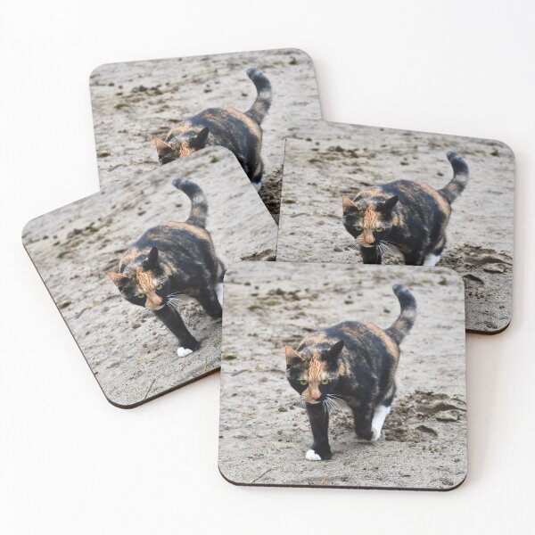 Item preview, Tortoiseshell Calico Farm Cat Photograph designed and sold by DoodleBeasts.