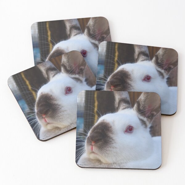 Item preview, Black and White Rabbit Close Up Photograph designed and sold by DoodleBeasts.