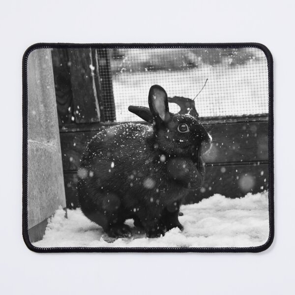 Item preview, Black Rabbit in the Snow Photograph designed and sold by DoodleBeasts.