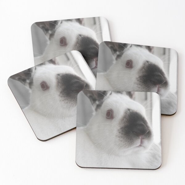 Item preview, Black and white rabbit dramatic photography designed and sold by DoodleBeasts.