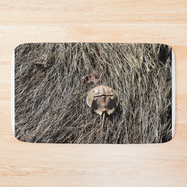 Item preview, Horseshoe Crab in Marsh Grass Photograph designed and sold by DoodleBeasts.