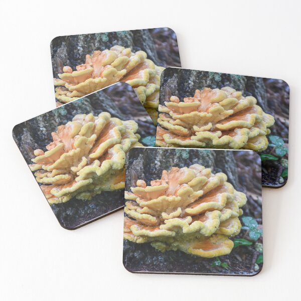 Item preview, Vibrant Mushroom in the Rain Photograph designed and sold by DoodleBeasts.