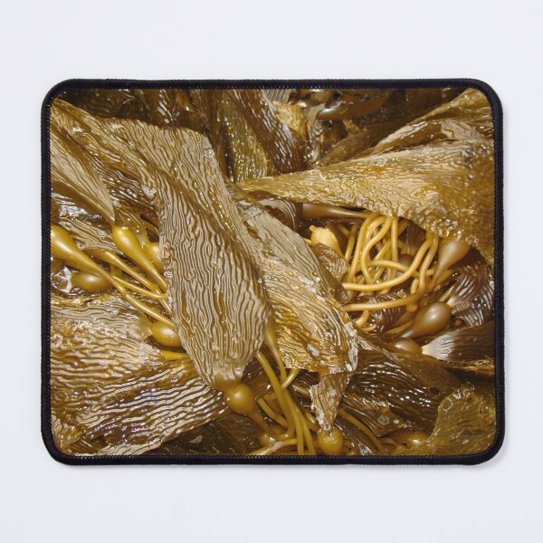 Item preview, Dream of Dancing Kelp designed and sold by jademonkey.