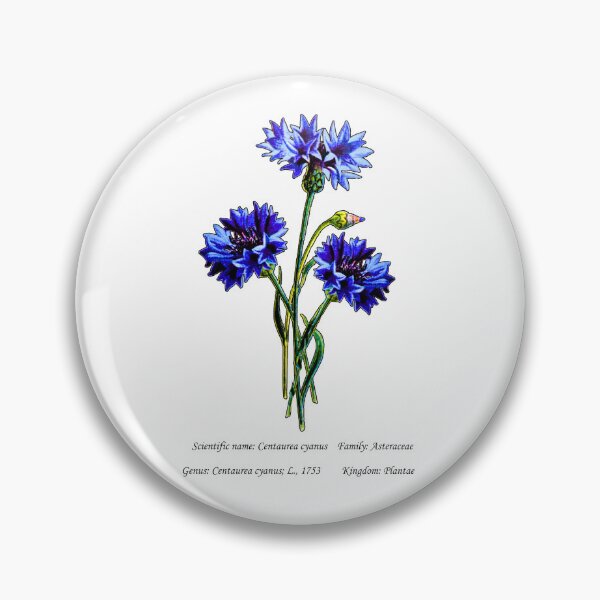Item preview, Botanical Illustration of Blue Cornflower designed and sold by Flores1965.