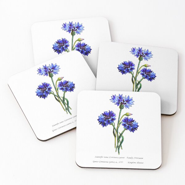 Item preview, Botanical Illustration of Blue Cornflower designed and sold by Flores1965.