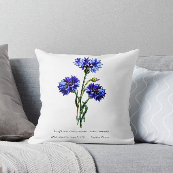 Item preview, Botanical Illustration of Blue Cornflower designed and sold by Flores1965.