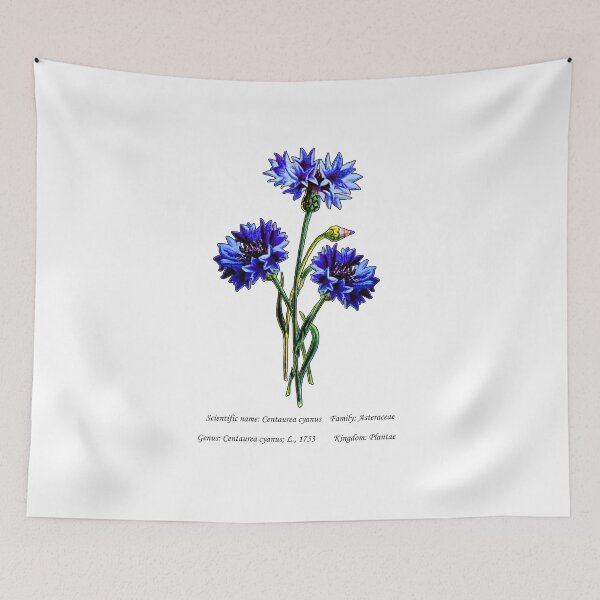 Item preview, Botanical Illustration of Blue Cornflower designed and sold by Flores1965.
