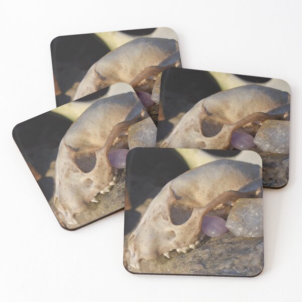 Item preview, Animal Skull and Crystals at Sunset Photograph designed and sold by DoodleBeasts.