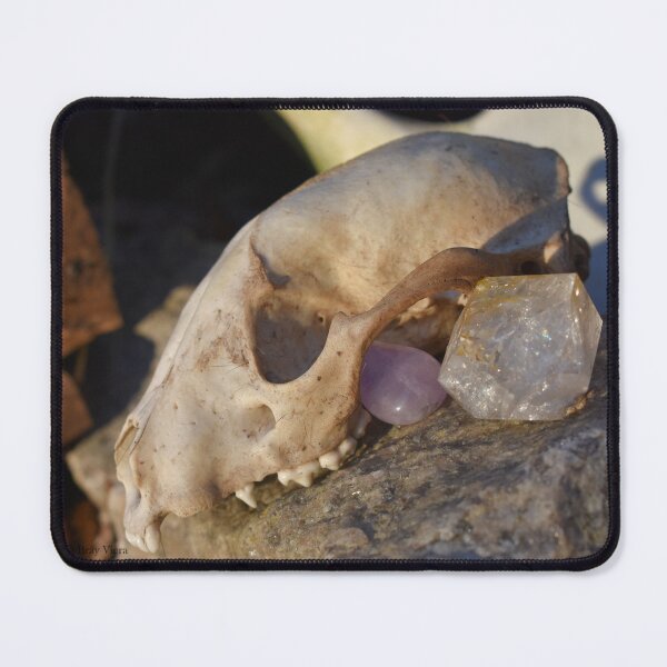 Item preview, Animal Skull and Crystals at Sunset Photograph designed and sold by DoodleBeasts.