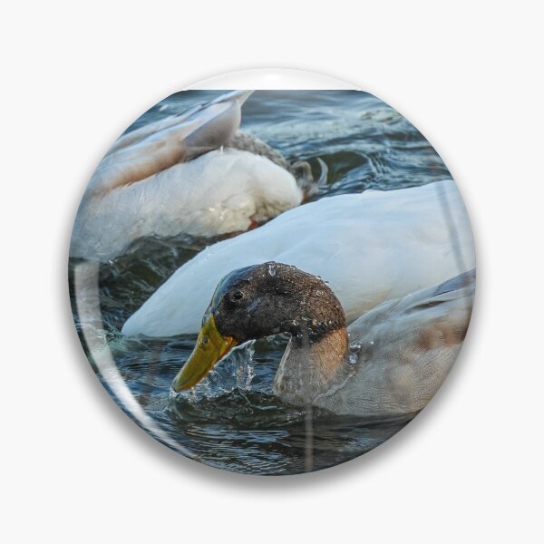 Item preview, Watered down duck designed and sold by DynamicPhototx.