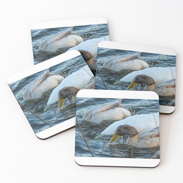 Item preview, Watered down duck designed and sold by DynamicPhototx.