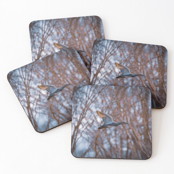 Item preview, Time for Take off designed and sold by DynamicPhototx.