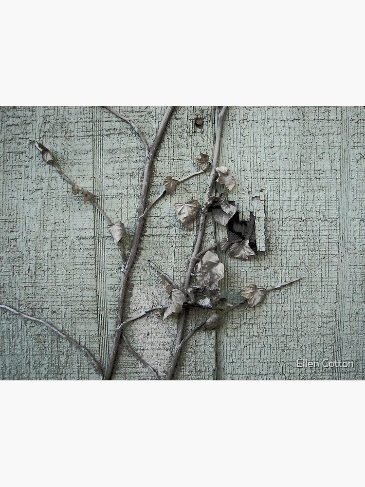 Old Paint with Vines by ellcot
