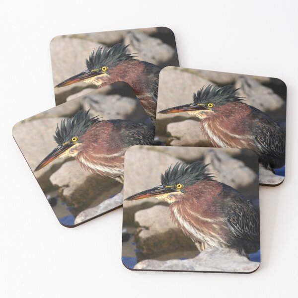Item preview, Green heron designed and sold by James Cumming.