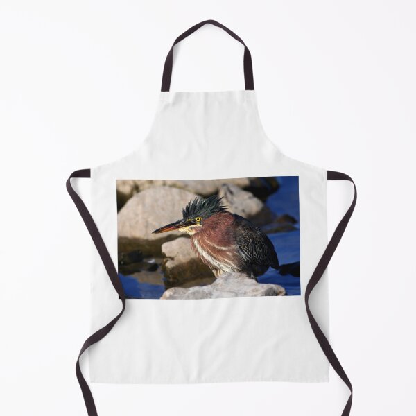 Item preview, Green heron designed and sold by James Cumming.