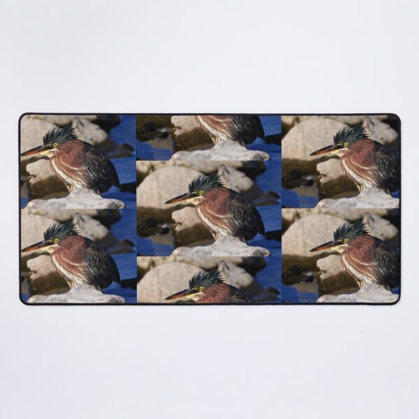 Item preview, Green heron designed and sold by James Cumming.