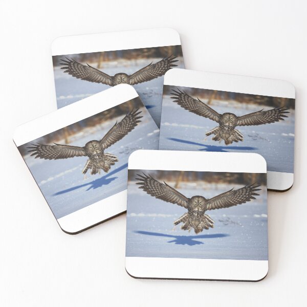 Item preview, In your face - Great Grey Owl designed and sold by James Cumming.