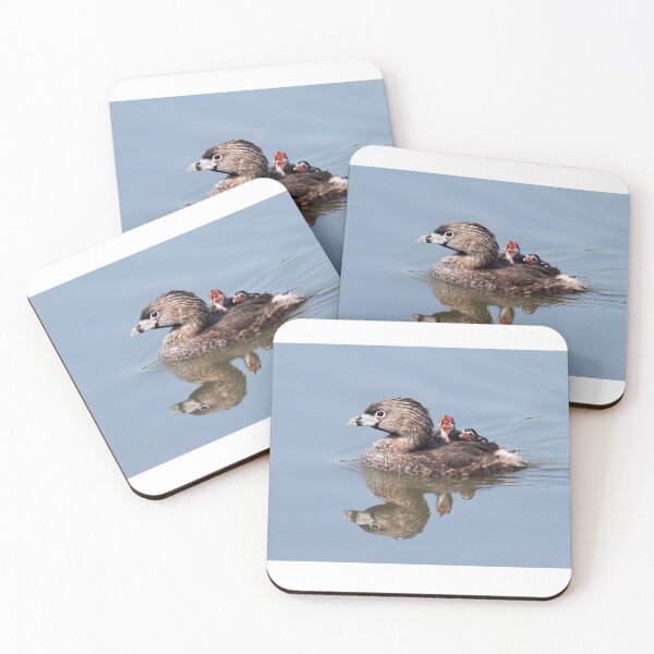Item preview, "Mom!...Timmy won't move over!" Pied-billed grebes designed and sold by James Cumming.