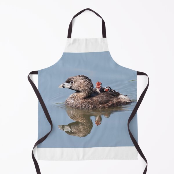 Item preview, "Mom!...Timmy won't move over!" Pied-billed grebes designed and sold by James Cumming.