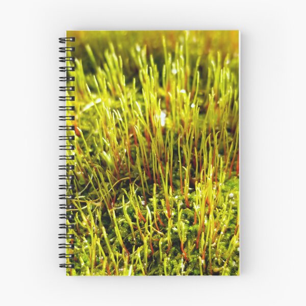 Item preview, Moss Sporophytes designed and sold by bjtomiko.