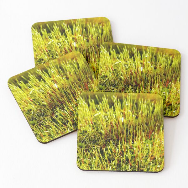 Item preview, Moss Sporophytes designed and sold by bjtomiko.