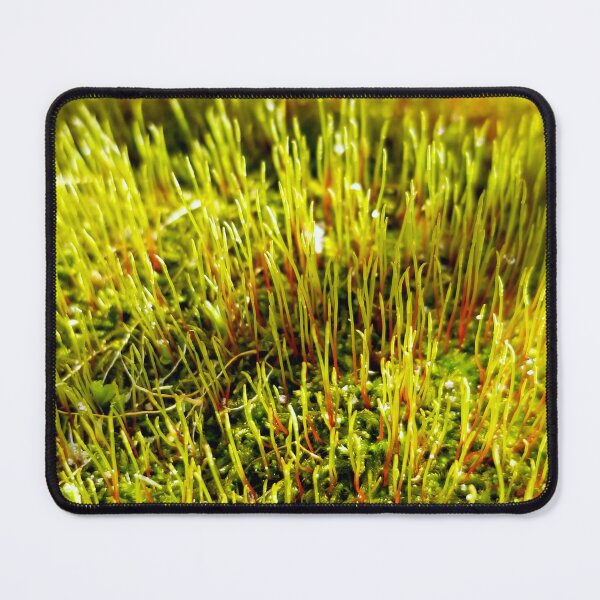 Item preview, Moss Sporophytes designed and sold by bjtomiko.