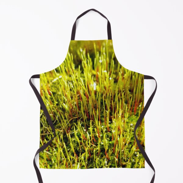 Item preview, Moss Sporophytes designed and sold by bjtomiko.