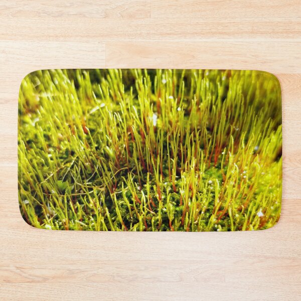 Item preview, Moss Sporophytes designed and sold by bjtomiko.