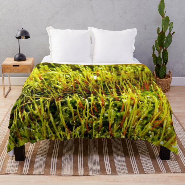 Item preview, Moss Sporophytes designed and sold by bjtomiko.