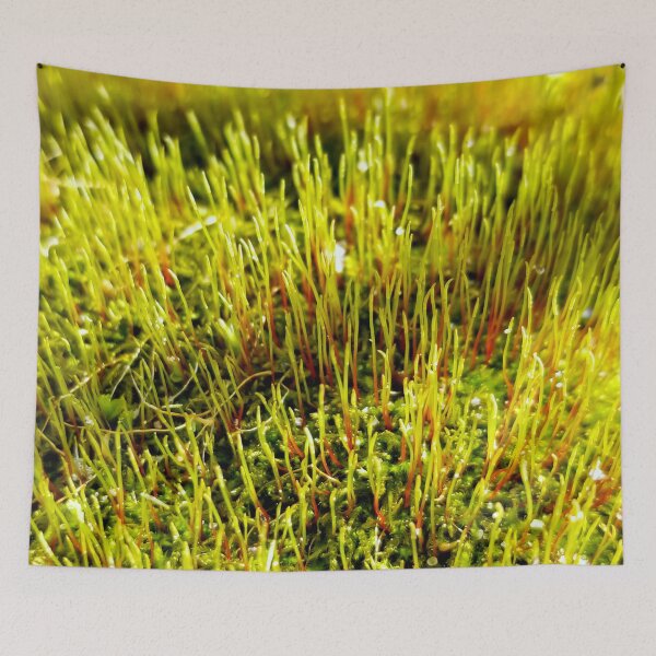 Item preview, Moss Sporophytes designed and sold by bjtomiko.