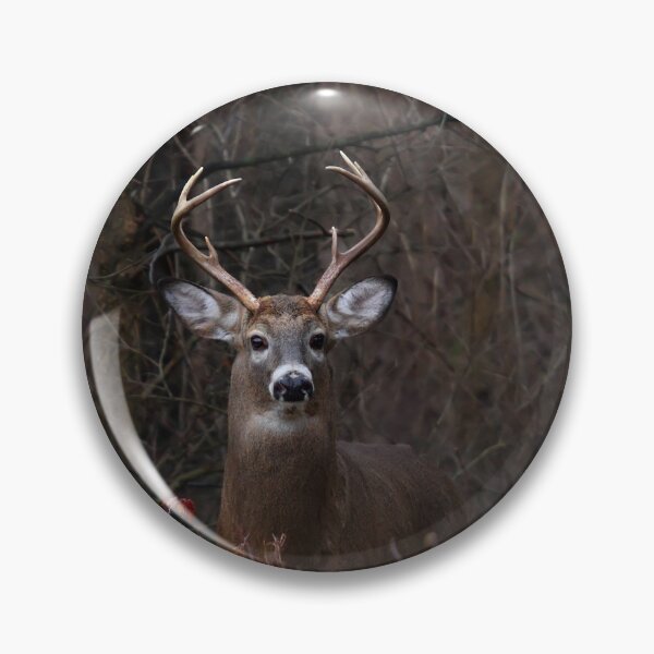 Item preview, Young Buck - portrait - White-tailed Deer designed and sold by James Cumming.