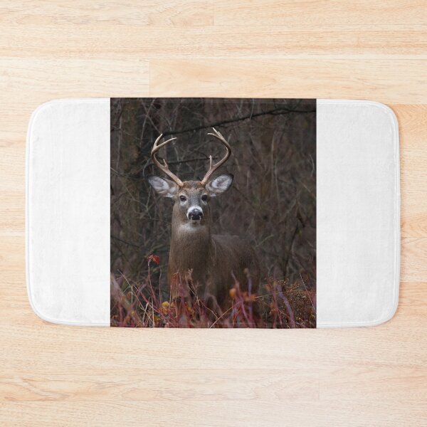 Item preview, Young Buck - portrait - White-tailed Deer designed and sold by James Cumming.