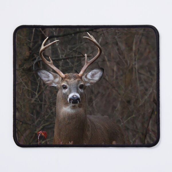 Item preview, Young Buck - portrait - White-tailed Deer designed and sold by James Cumming.