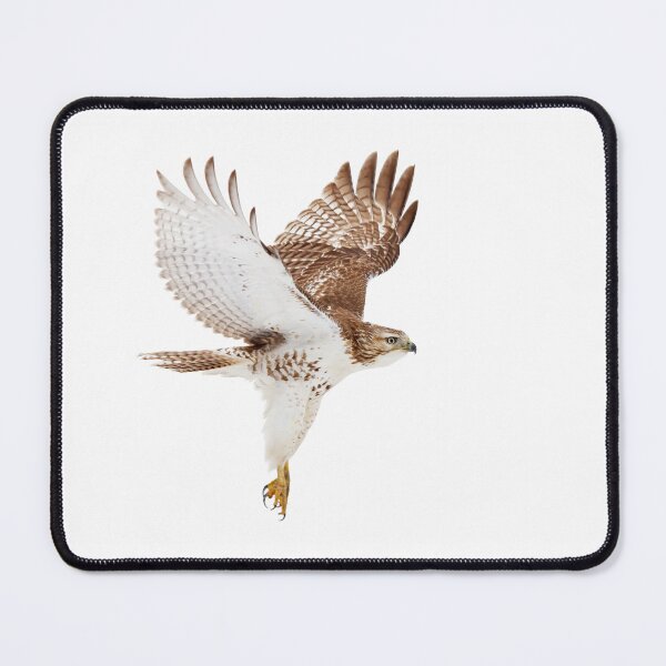 Item preview, Red-tailed Hawk designed and sold by James Cumming.