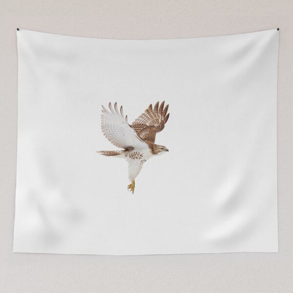 Item preview, Red-tailed Hawk designed and sold by James Cumming.