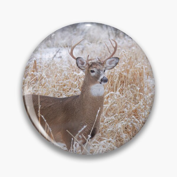 Item preview, A Regal Stance - White-tailed Buck designed and sold by James Cumming.
