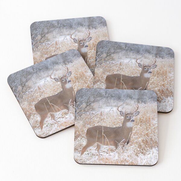 Item preview, A Regal Stance - White-tailed Buck designed and sold by James Cumming.