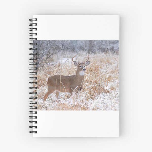 Item preview, A Regal Stance - White-tailed Buck designed and sold by James Cumming.