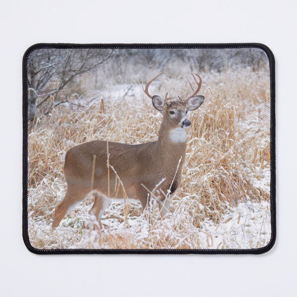 Item preview, A Regal Stance - White-tailed Buck designed and sold by James Cumming.