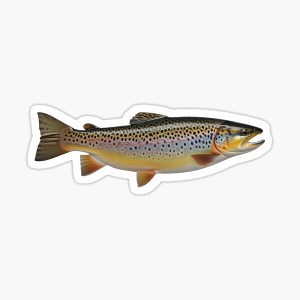 Brown Trout Sticker