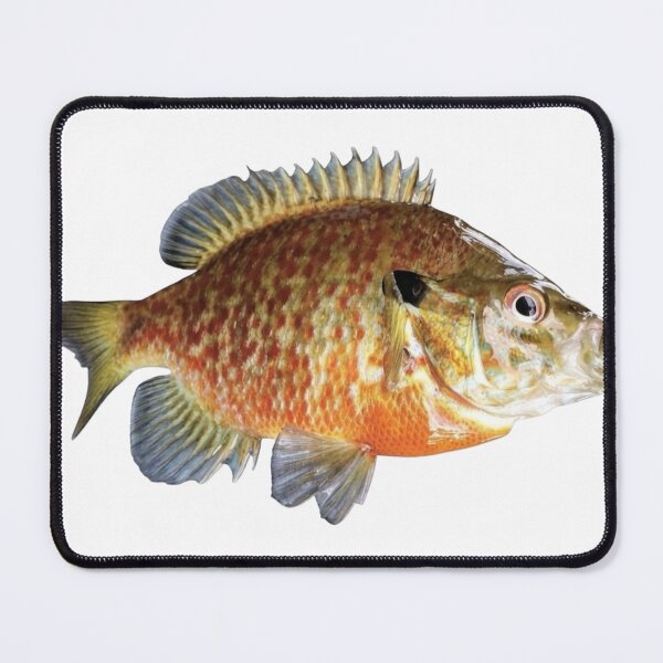 Item preview, Pan Fish  designed and sold by unionpride.