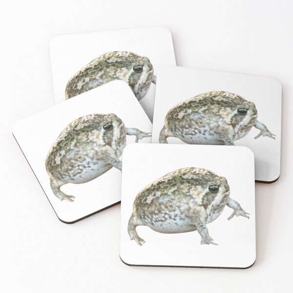 Item preview, phat frog designed and sold by hannah <3.